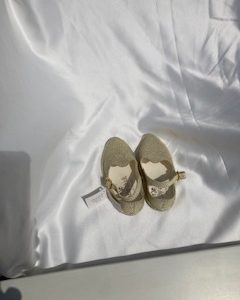 Baby chicks color natural